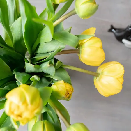 Maja Апартаменты *